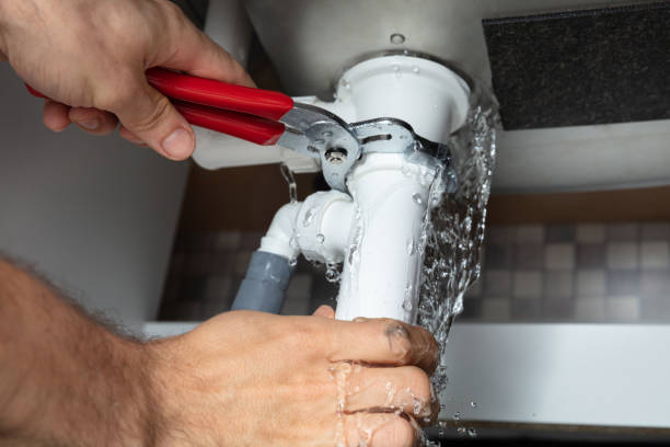Best Professional water damage repair  in Eagleview, PA