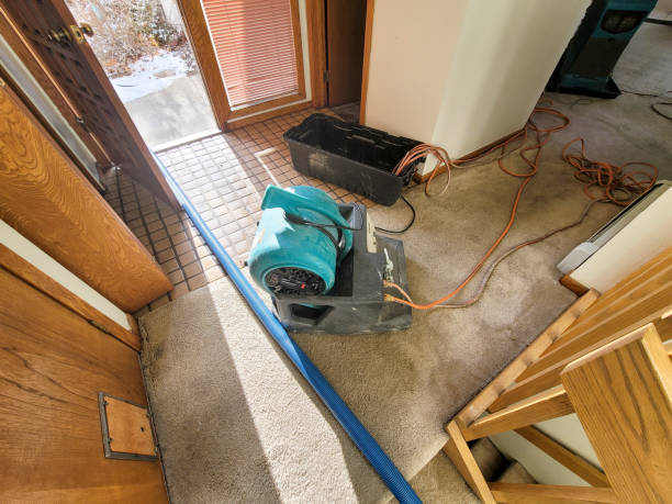 Best Sewage cleanup and water damage restoration  in Eagleview, PA