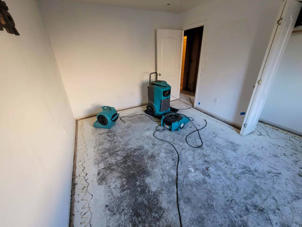 Best Flood damage cleanup  in Eagleview, PA