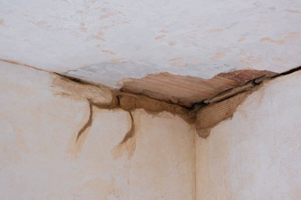 Water damage restoration mold remediation in Eagleview, PA