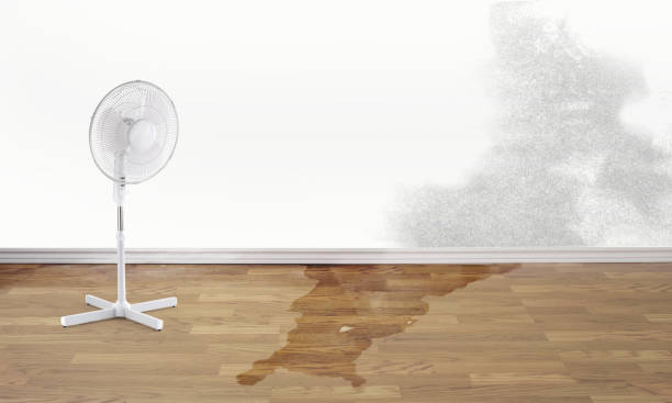 Best 24-hour water damage restoration  in Eagleview, PA