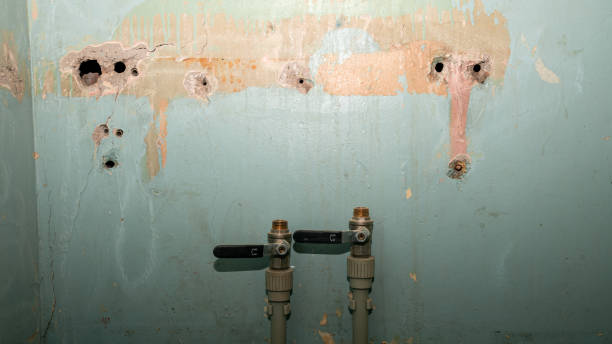 Best Water damage restoration mold remediation  in Eagleview, PA
