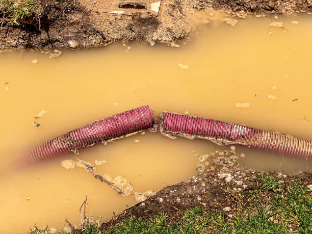 Best Water damage contractors near me  in Eagleview, PA